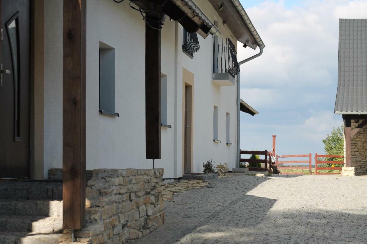 Ranczo- Czarnocin Villa Olszowa Exterior photo